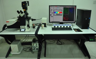 Leica激光共聚焦显微镜